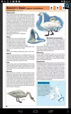 Play Bloomsbury Bird Guides