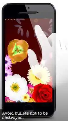 Play Bloom