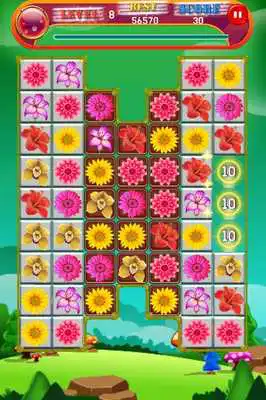 Play Blossom Bloom