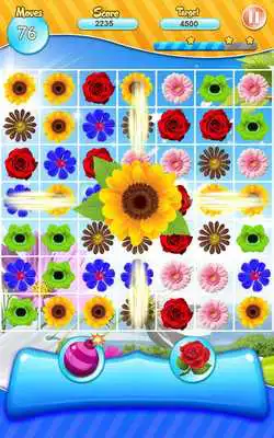 Play Blossom Burst Puzzle 2019