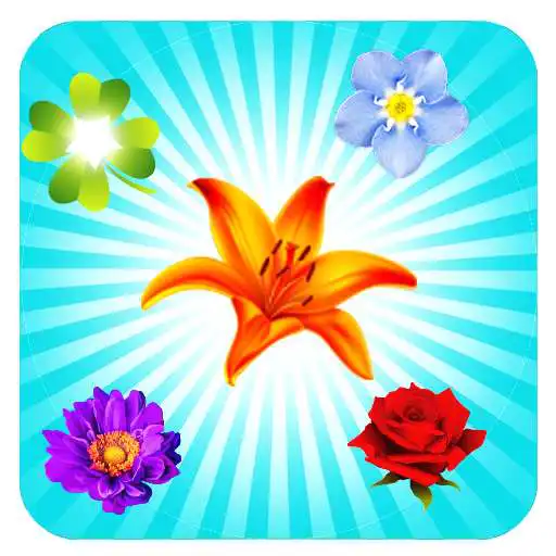 Free play online Blossom Crush APK Free play online Blossom Crush APK