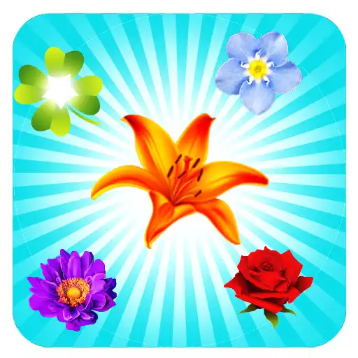 Play Blossom Crush APK