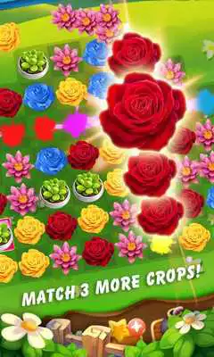 Play Blossom Garden Star