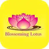 Free play online Blossoming Lotus VR APK