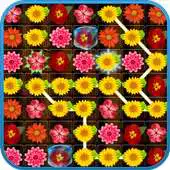 Free play online Blossom Link APK