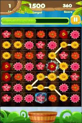 Play Blossom Link