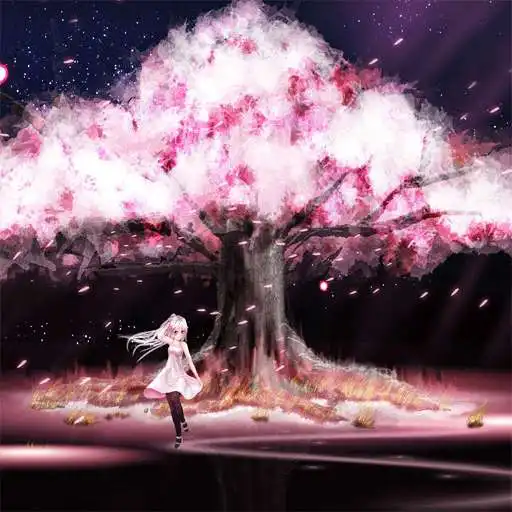 Free play online Blossom Wallpapers APK