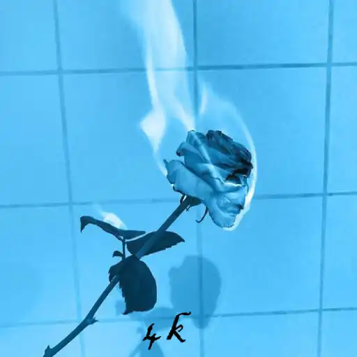 Play Blue Aesthetic Wallpaper 4K APK