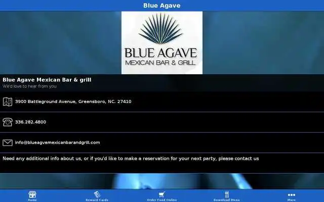 Play Blue Agave