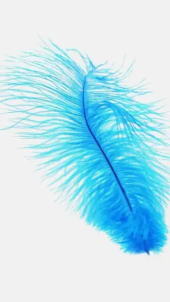 Play Blue and White Wallpapers  and enjoy Blue and White Wallpapers with UptoPlay