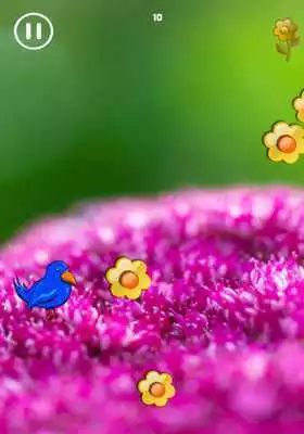 Play Blue Bird Journey In Flowers