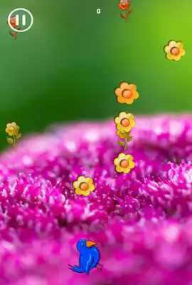 Play Blue Bird Journey In Flowers