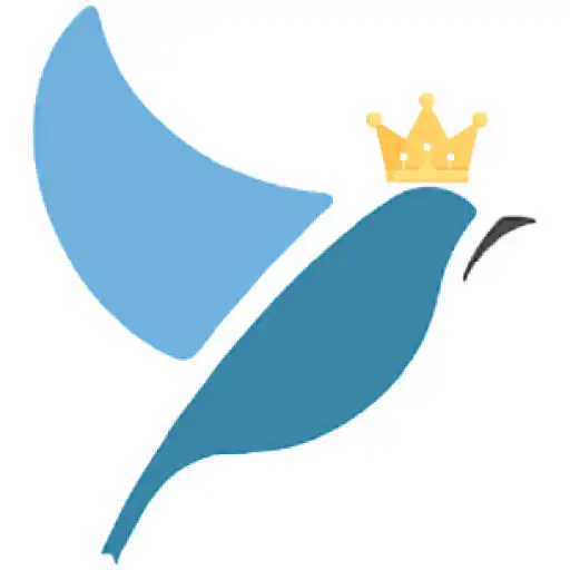Play Bluebird Language Tests APK Play Bluebird Language Tests APK