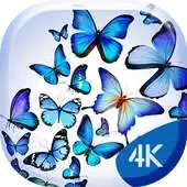 Free play online Blue Butterfly 4K Live Wallpap APK