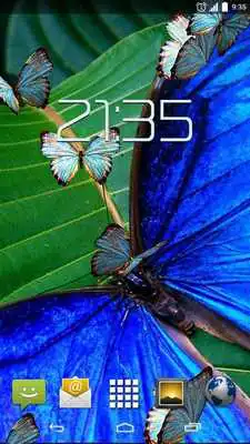 Play Blue Butterfly 4K Live Wallpap Play Blue Butterfly 4K Live Wallpap