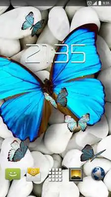 Play Blue Butterfly 4K Live Wallpap Play Blue Butterfly 4K Live Wallpap