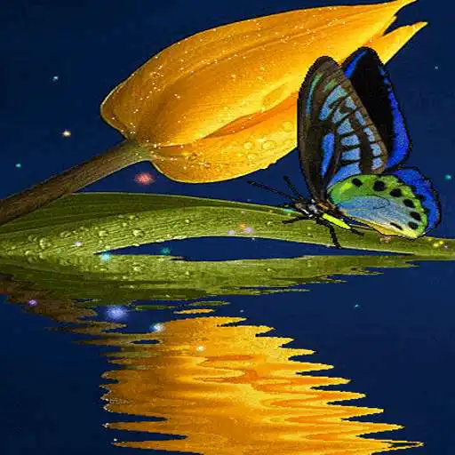 Play Blue Butterfly Live Wallpaper APK Play Blue Butterfly Live Wallpaper APK