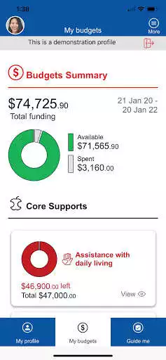 Play Blue Care NDIS Planning as an online game Blue Care NDIS Planning with UptoPlay
