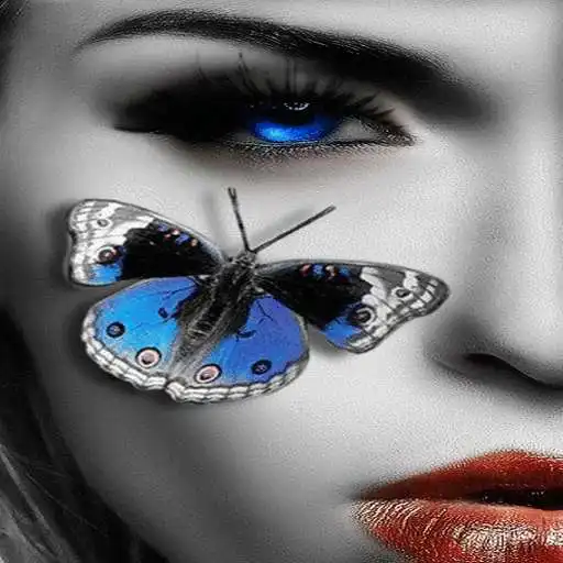 Play Blue Eyes Butterfly LWP APK Play Blue Eyes Butterfly LWP APK