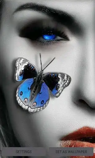 Play Blue Eyes Butterfly LWP  and enjoy Blue Eyes Butterfly LWP with UptoPlay