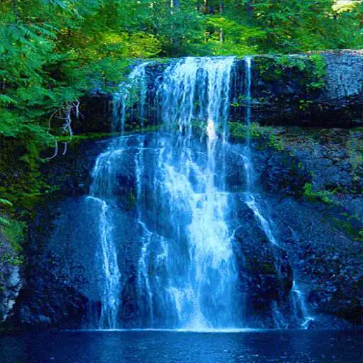 Play Blue Fall Live Wallpaper APK