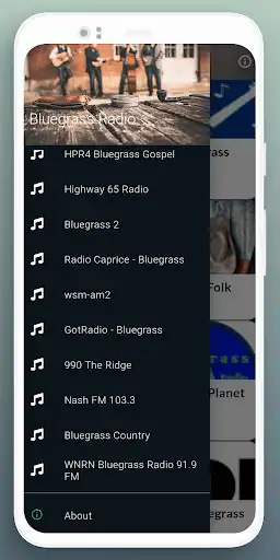 Play Bluegrass Music