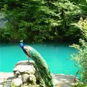 Free play online Blue Lakein Abkhazia Puzzles APK Free play online Blue Lakein Abkhazia Puzzles APK