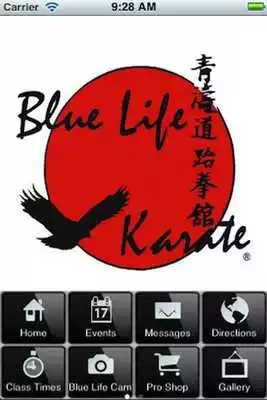Play Blue Life Karate