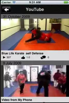 Play Blue Life Karate