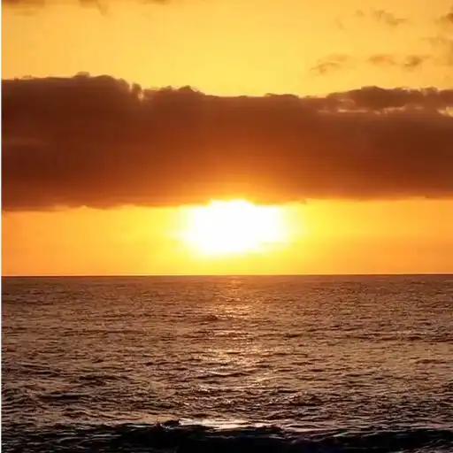 Play Blue Ocean Live Wallpaper Pro APK