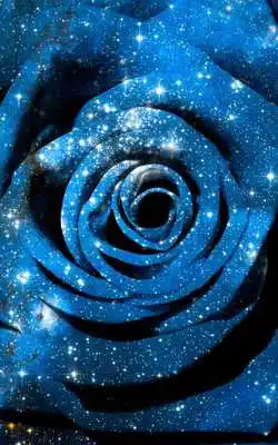 Play Blue Rose Live Wallpaper