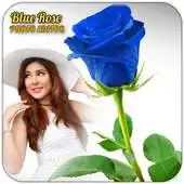 Free play online Blue Rose Photo Editor APK Free play online Blue Rose Photo Editor APK