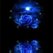 Free play online Blue Rose Reflected In Water L APK Free play online Blue Rose Reflected In Water L APK