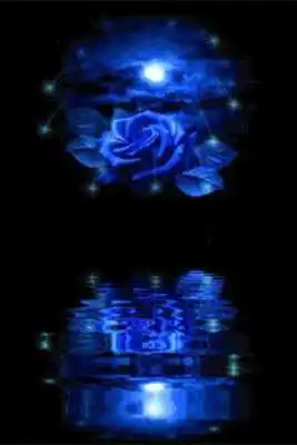 Play Blue Rose Reflected In Water L