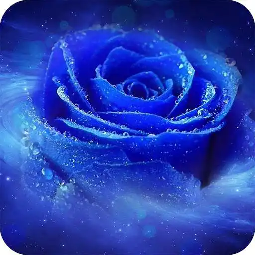 Run free android online Blue Rose Wallpaper APK