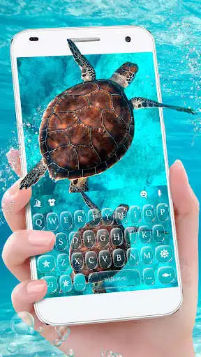 Play Blue Sea Turtle Keyboard Theme  and enjoy Blue Sea Turtle Keyboard Theme with UptoPlay