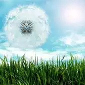 Free play online Blue Sky Dandelion HD APK Free play online Blue Sky Dandelion HD APK