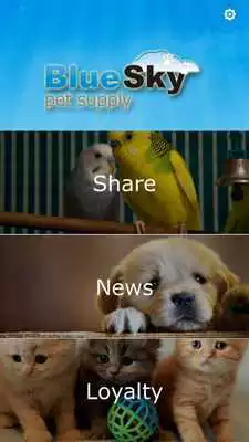 Play Blue Sky Pet