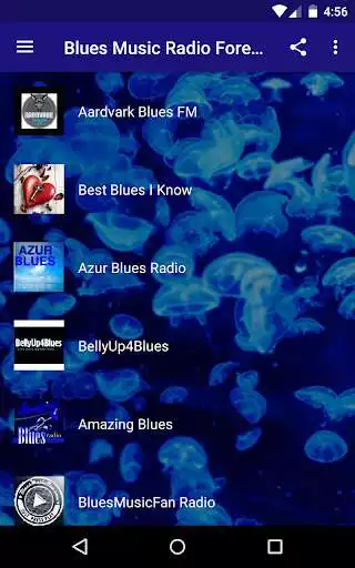 Play Blues Music Radio - US South Blues, Electric Blues