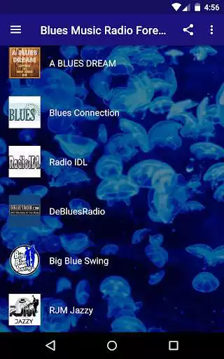 Play Blues Music Radio - US South Blues, Electric Blues