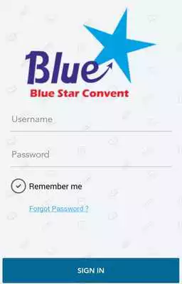Play Blue Star Convent