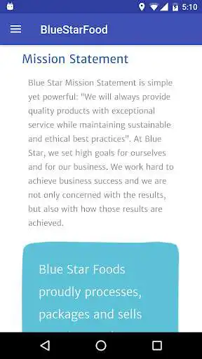 Play Blue Star Food