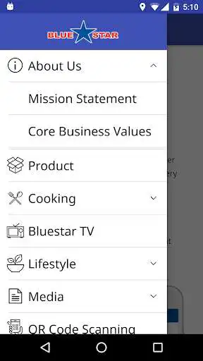 Play Blue Star Food