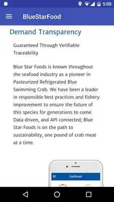 Play Blue Star Food