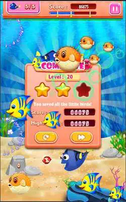 Play Blue Tang Fish Bubble Shooter