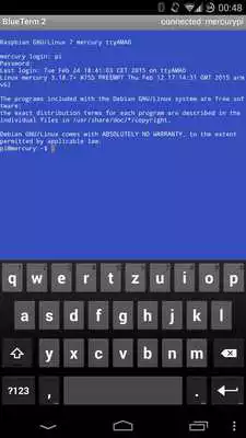 Play BlueTerm 2
