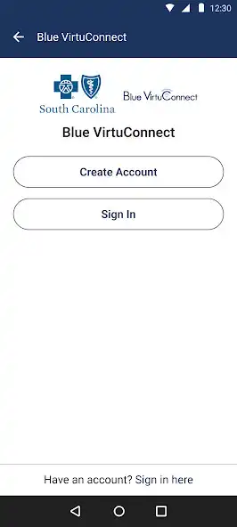 Play Blue VirtuConnect as an online game Blue VirtuConnect with UptoPlay