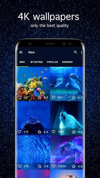 Play Blue Wallpapers 4K  and enjoy Blue Wallpapers 4K with UptoPlay