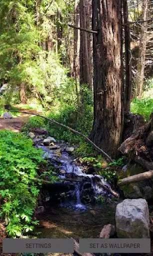 Play Blue Water Forest LWP
