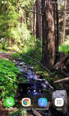 Play Blue Water Forest LWP
